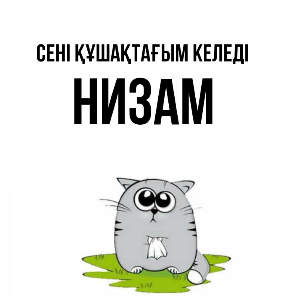 Күн сайын ашық хат с именем, НИЗАМ сені құшақтағым келеді котик теребит платочек сидя на травке Онлайн тегін жүктеп алу тілектері бар керемет карта 