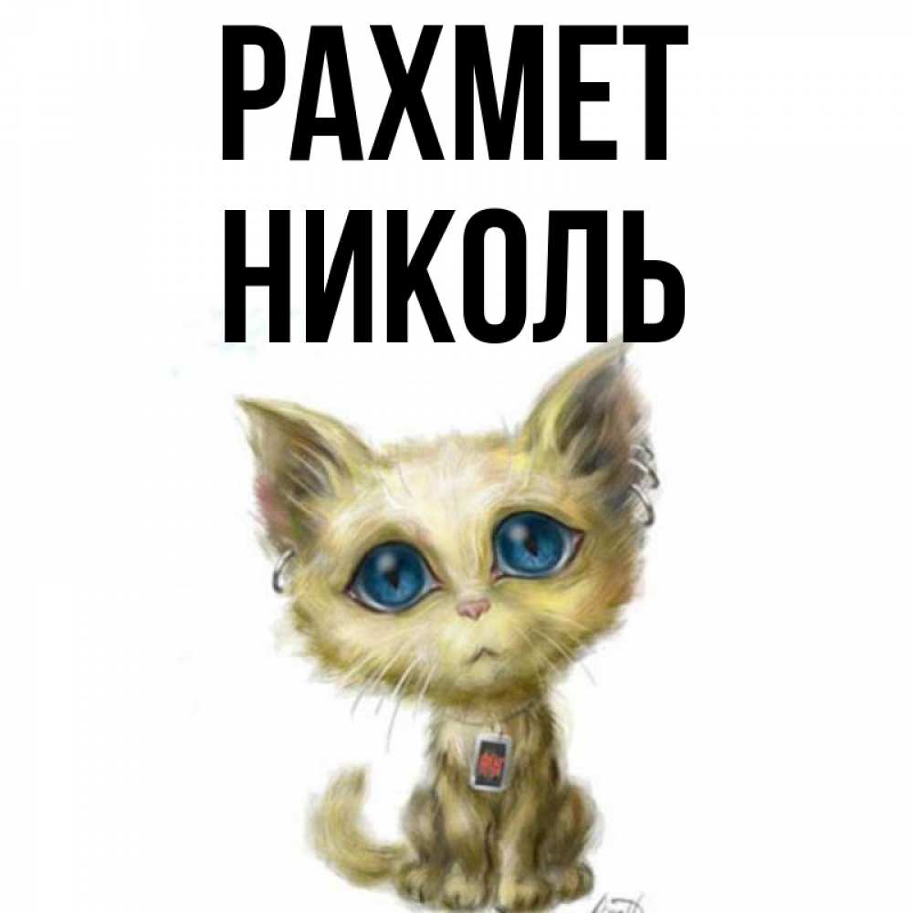 Күн сайын ашық хат с именем, Николь рахмет рисованный кот благодарит вас Онлайн тегін жүктеп алу тілектері бар керемет карта 