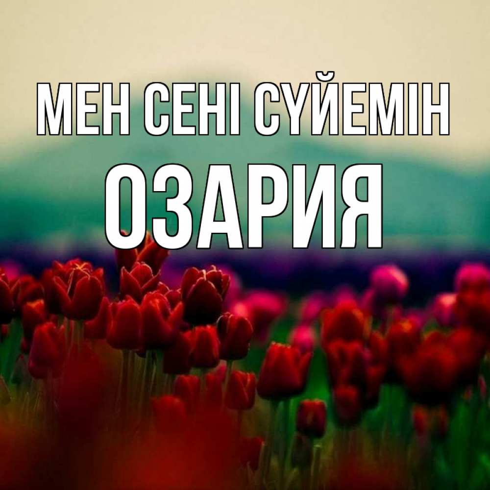 Күн сайын ашық хат с именем, ОЗАРИЯ Мен сені сүйемін тюльпаны 4 Онлайн тегін жүктеп алу тілектері бар керемет карта 