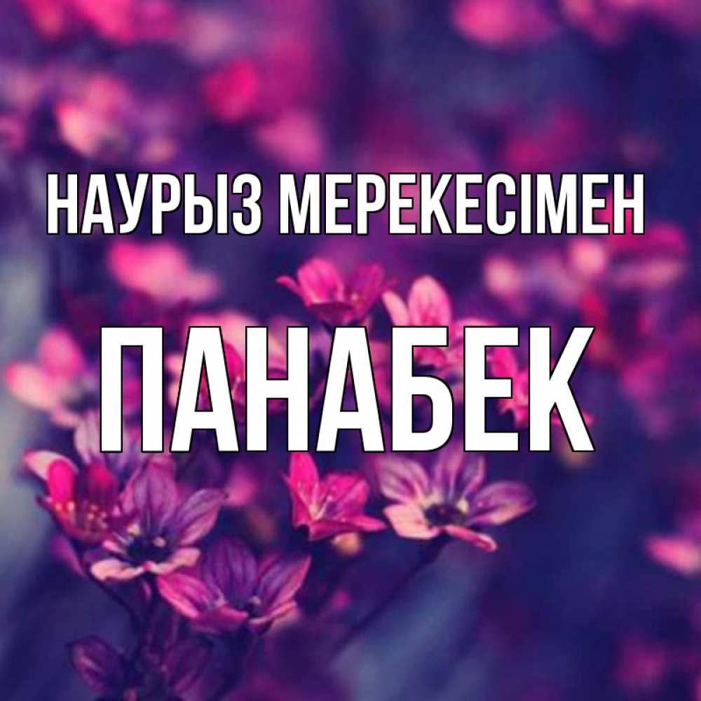 Күн сайын ашық хат с именем, ПАНАБЕК Наурыз мерекесімен небольшие цветы 1 Онлайн тегін жүктеп алу тілектері бар керемет карта 