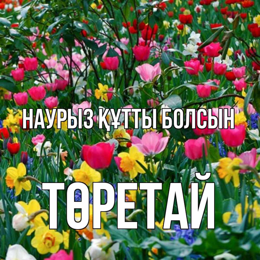 Күн сайын ашық хат с именем, Төретай Наурыз құтты болсын с наурызом поздравления для женщины Онлайн тегін жүктеп алу тілектері бар керемет карта 