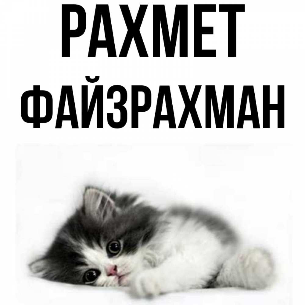 Күн сайын ашық хат с именем, ФАЙЗРАХМАН рахмет черный и белый кот Онлайн тегін жүктеп алу тілектері бар керемет карта 