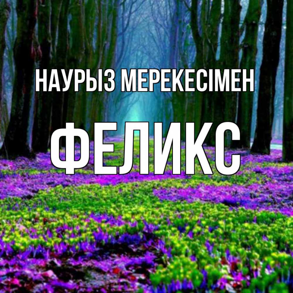 Күн сайын ашық хат с именем, Феликс Наурыз мерекесімен фиолетовые цветы в лесу 1 Онлайн тегін жүктеп алу тілектері бар керемет карта 