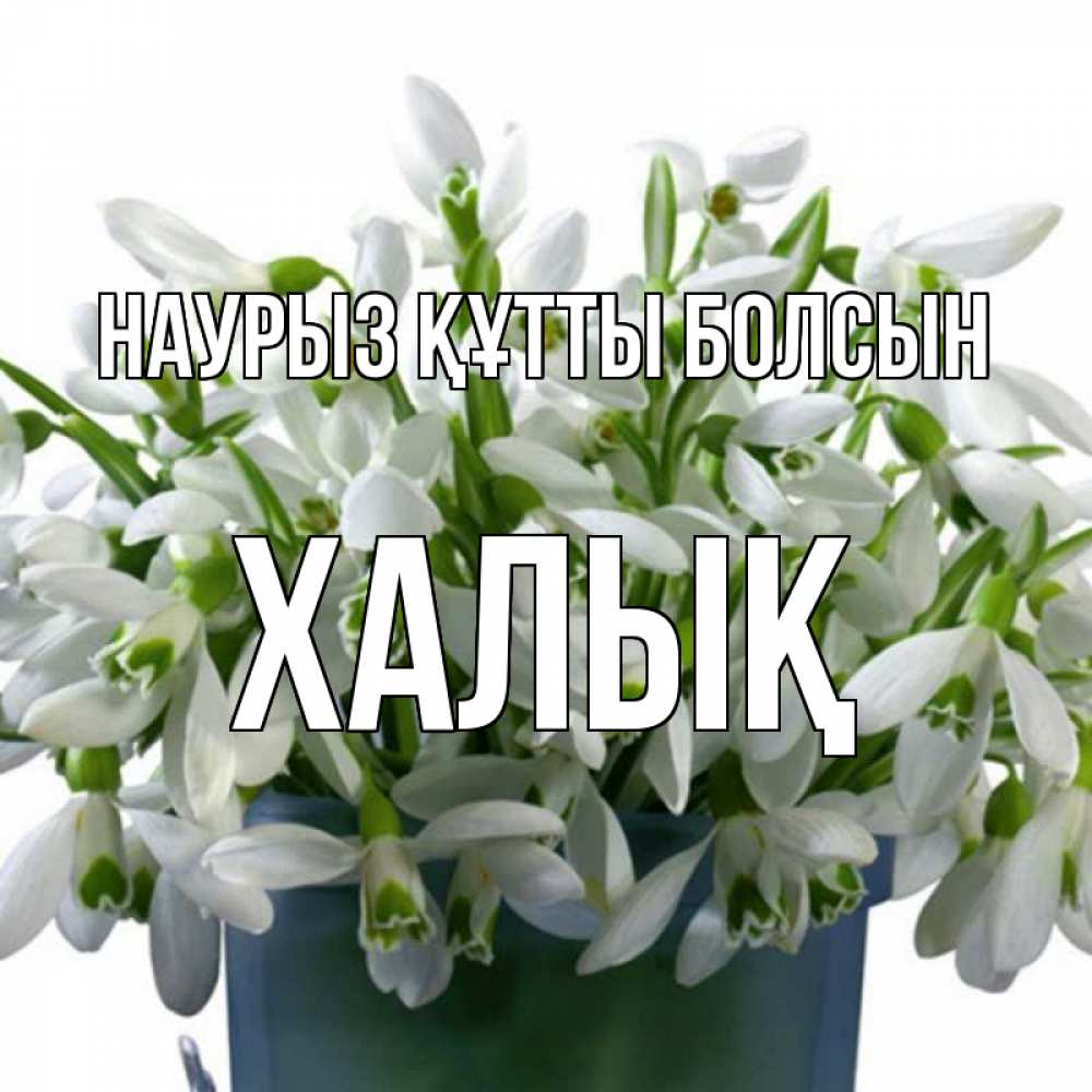 Күн сайын ашық хат с именем, ХАЛЫҚ Наурыз құтты болсын цветы к наурызу Онлайн тегін жүктеп алу тілектері бар керемет карта 