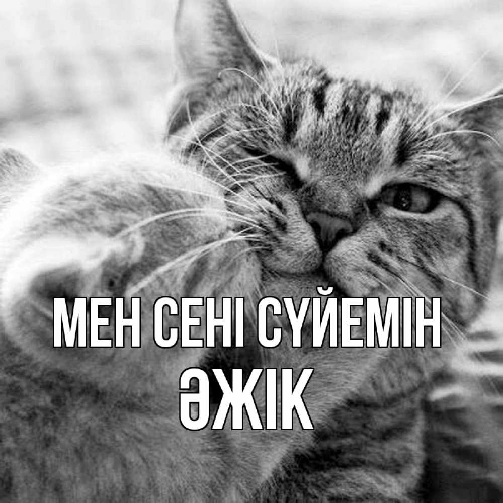 Күн сайын ашық хат с именем, Әжік Мен сені сүйемін коты Онлайн тегін жүктеп алу тілектері бар керемет карта 