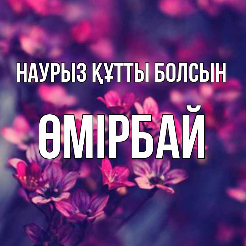 Күн сайын ашық хат с именем, ӨМІРБАЙ Наурыз құтты болсын небольшие цветы 1 Онлайн тегін жүктеп алу тілектері бар керемет карта 