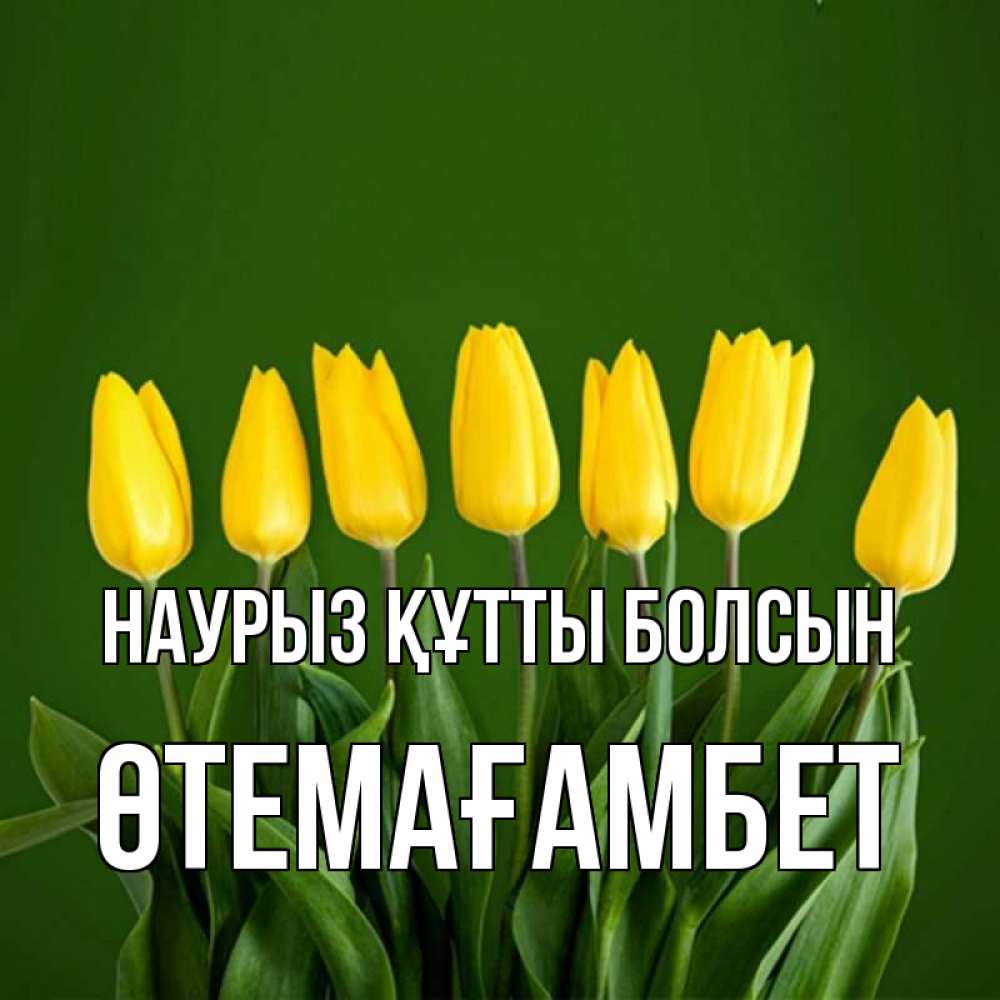 Күн сайын ашық хат с именем, ӨТЕМАҒАМБЕТ Наурыз құтты болсын желтого цвета 3 Онлайн тегін жүктеп алу тілектері бар керемет карта 