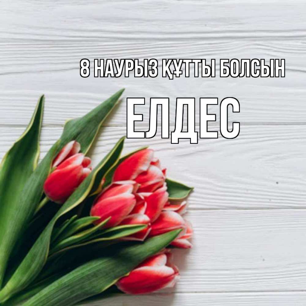 Күн сайын ашық хат с именем, Елдес 8 наурыз құтты болсын весна 2 Онлайн тегін жүктеп алу тілектері бар керемет карта 