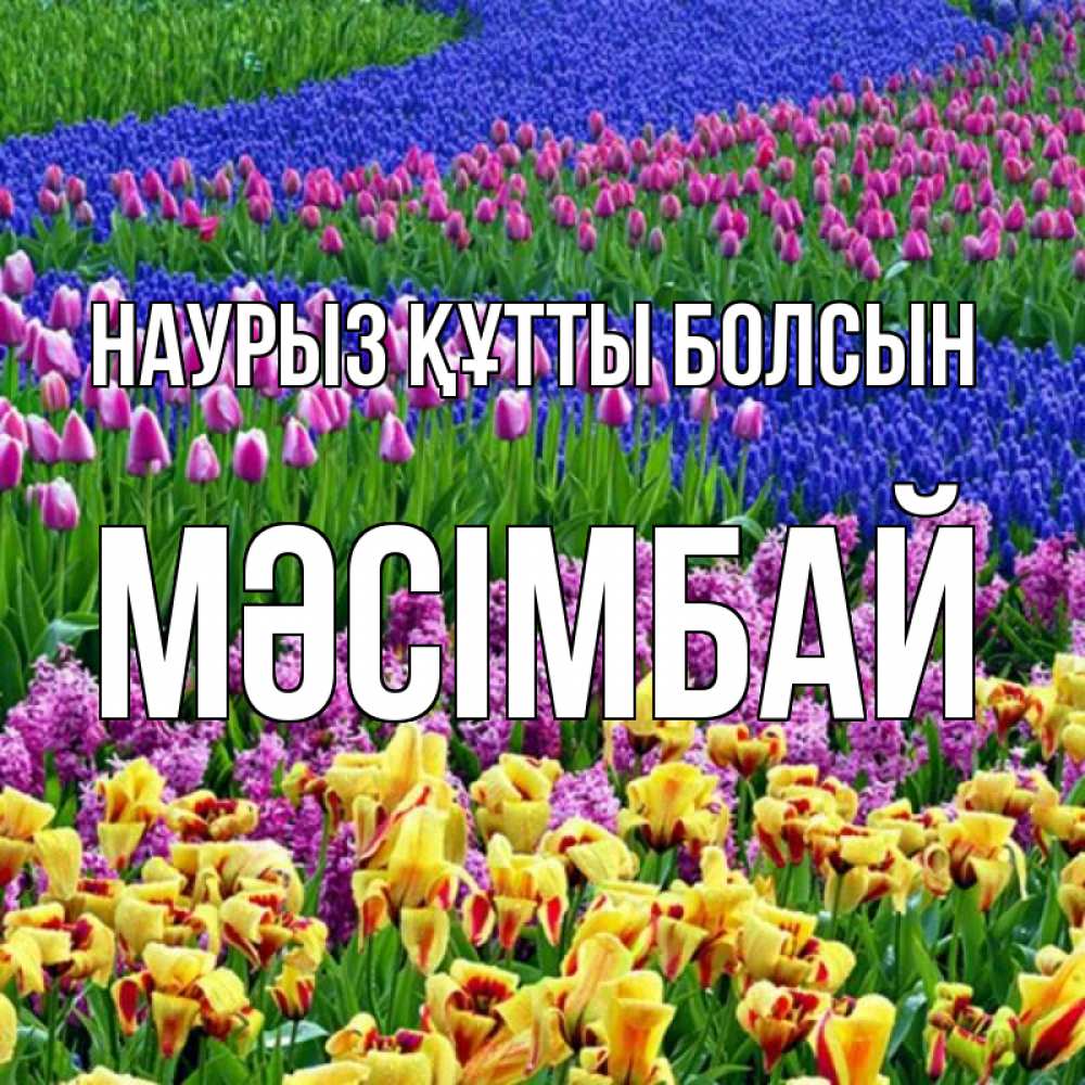 Күн сайын ашық хат с именем, МӘСІМБАЙ Наурыз құтты болсын цветы Онлайн тегін жүктеп алу тілектері бар керемет карта 