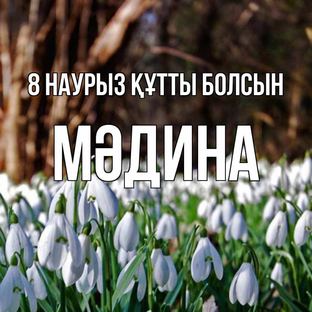 Күн сайын ашық хат с именем, МӘДИНА 8 наурыз құтты болсын с подснежниками 1 Онлайн тегін жүктеп алу тілектері бар керемет карта 