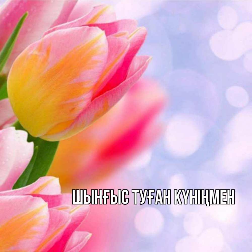 Картинка  с именем , ШЫНҒЫС! ТУҒАН КҮНІҢМЕН!