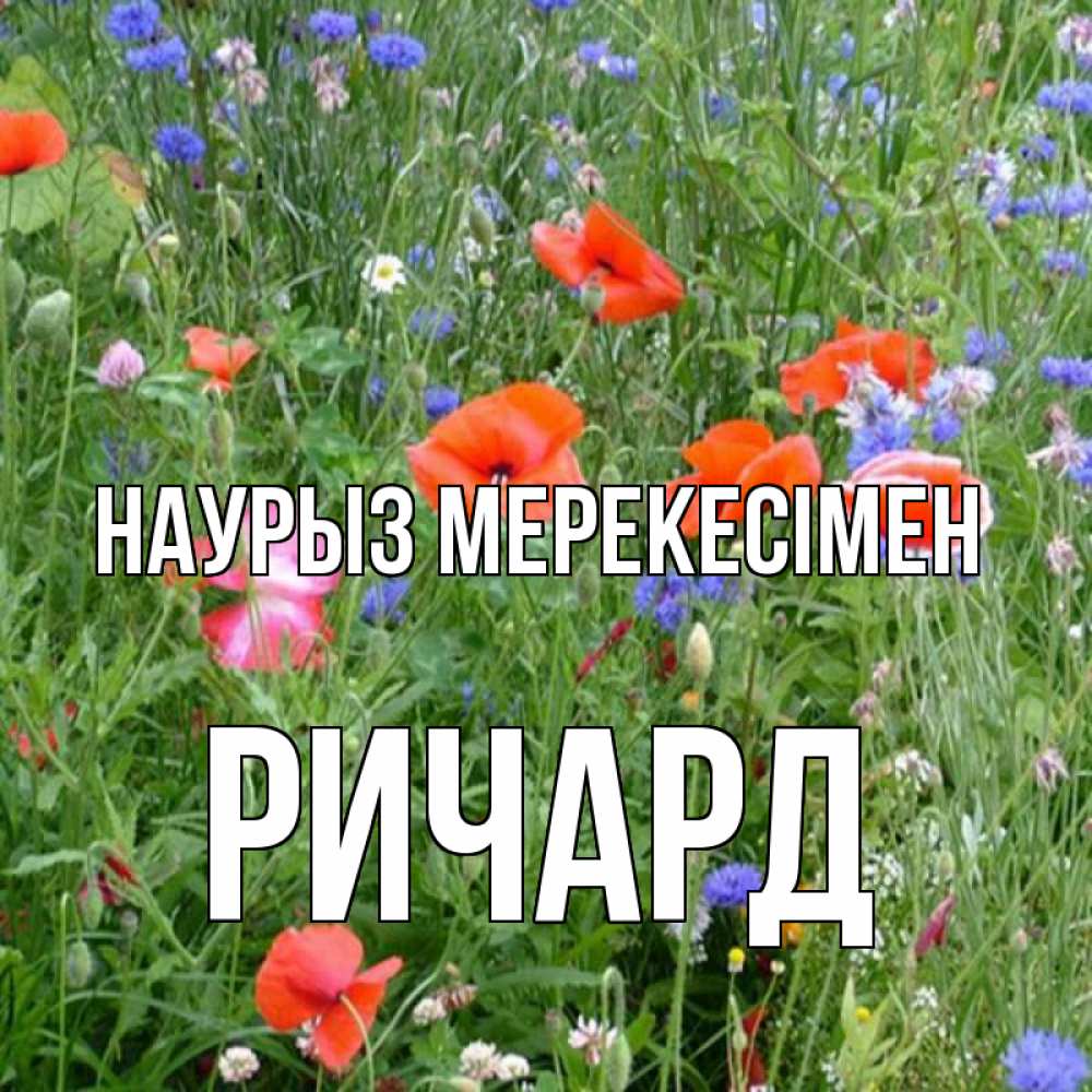 Күн сайын ашық хат с именем, Ричард Наурыз мерекесімен праздник весны наурыз супер открытка Онлайн тегін жүктеп алу тілектері бар керемет карта 