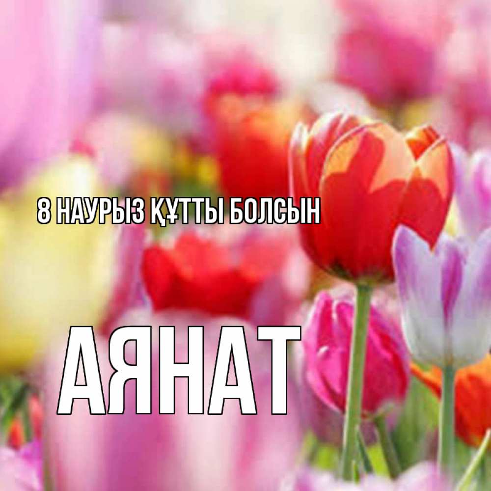 Күн сайын ашық хат с именем, АЯНАТ 8 наурыз құтты болсын на международный женский день 2 Онлайн тегін жүктеп алу тілектері бар керемет карта 