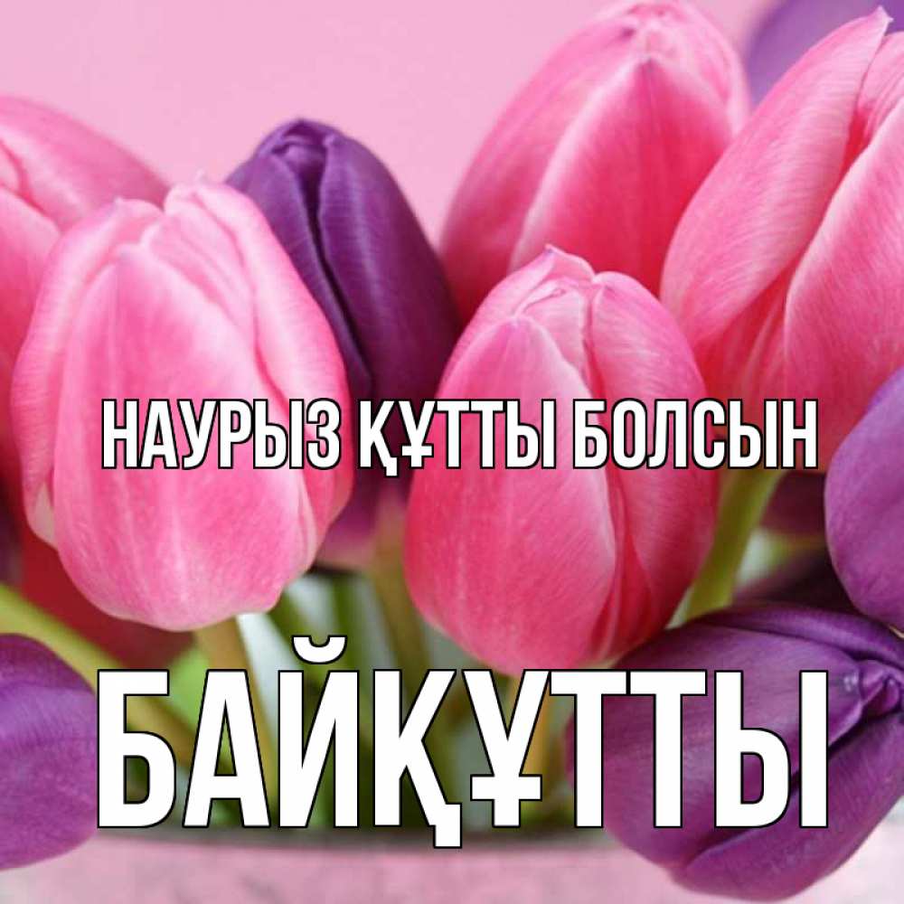 Күн сайын ашық хат с именем, Байқұтты Наурыз құтты болсын маме 1 Онлайн тегін жүктеп алу тілектері бар керемет карта 