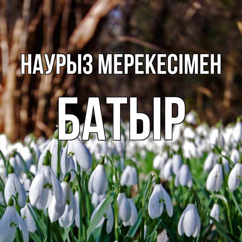 Күн сайын ашық хат с именем, Батыр Наурыз мерекесімен с подснежниками 1 Онлайн тегін жүктеп алу тілектері бар керемет карта 