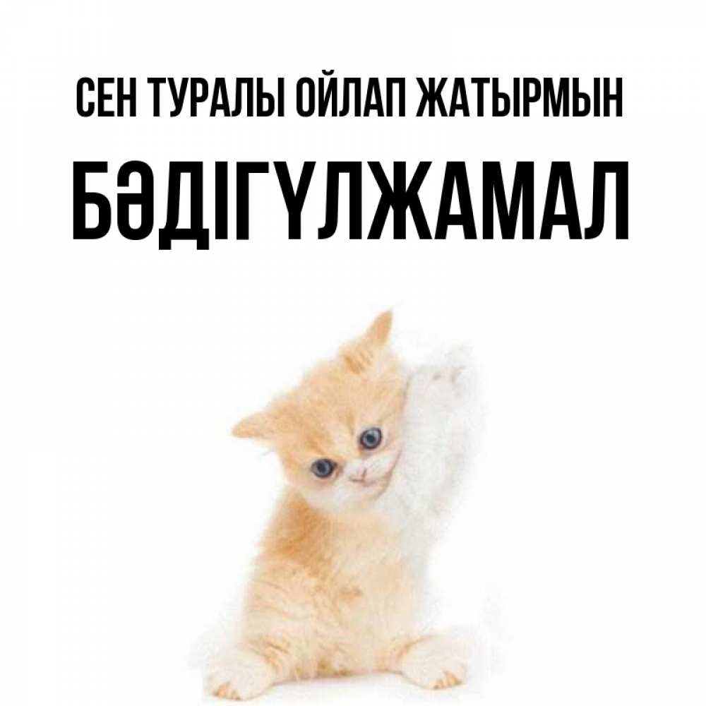 Күн сайын ашық хат с именем, БӘДІГҮЛЖАМАЛ Сен туралы ойлап жатырмын зверушки и милота Онлайн тегін жүктеп алу тілектері бар керемет карта 
