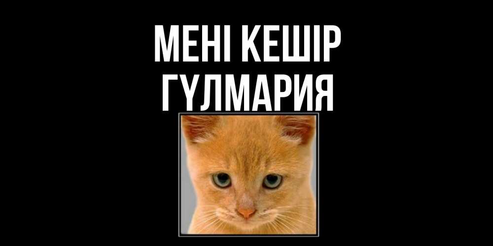 Күн сайын ашық хат с именем, ГҮЛМАРИЯ Мені кешір рыжий грустный кот просит прощения Онлайн тегін жүктеп алу тілектері бар керемет карта 