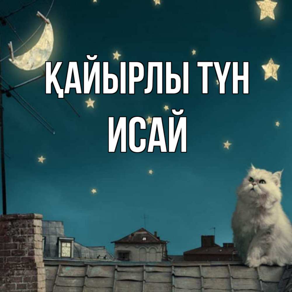 Күн сайын ашық хат с именем, Исай Қайырлы түн белый кот сидит на крыше Онлайн тегін жүктеп алу тілектері бар керемет карта 
