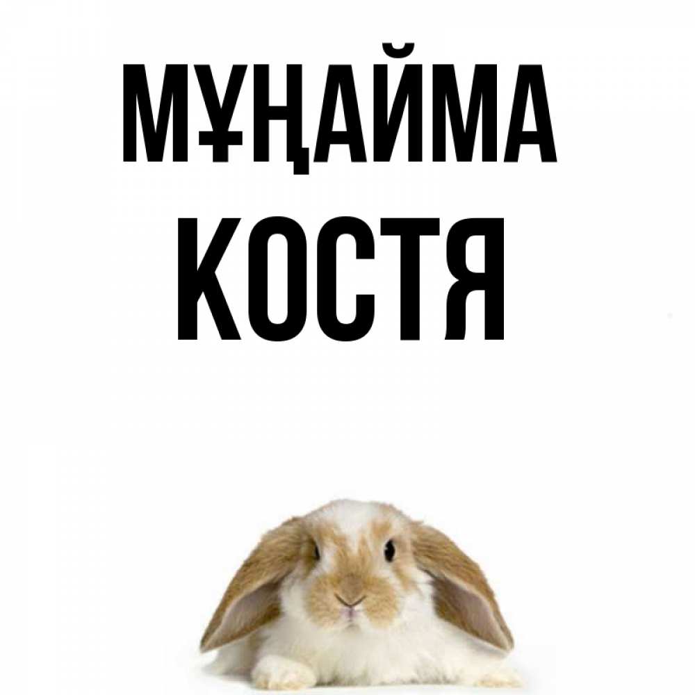 Күн сайын ашық хат с именем, Костя Мұңайма коричнево белый заяц с большими ушками Онлайн тегін жүктеп алу тілектері бар керемет карта 