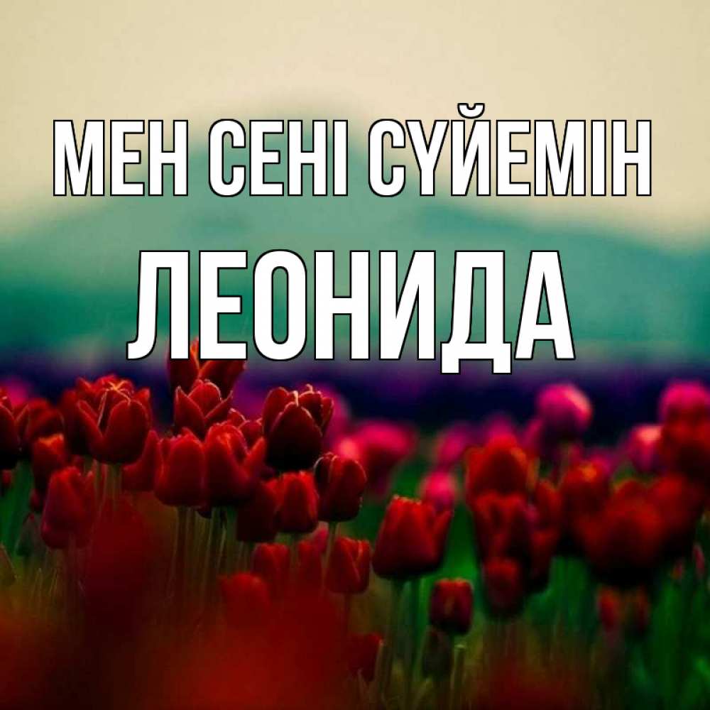 Күн сайын ашық хат с именем, Леонида Мен сені сүйемін тюльпаны 4 Онлайн тегін жүктеп алу тілектері бар керемет карта 