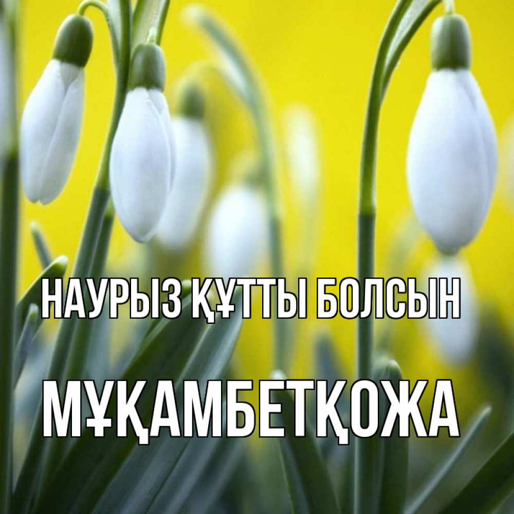 Күн сайын ашық хат с именем, Мұқамбетқожа Наурыз құтты болсын весенние цветы Онлайн тегін жүктеп алу тілектері бар керемет карта 