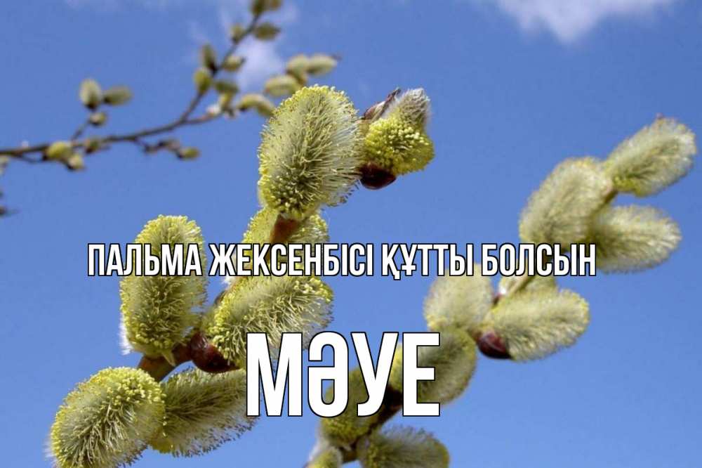 Күн сайын ашық хат с именем, МӘУЕ Пальма жексенбісі құтты болсын верба Онлайн тегін жүктеп алу тілектері бар керемет карта 