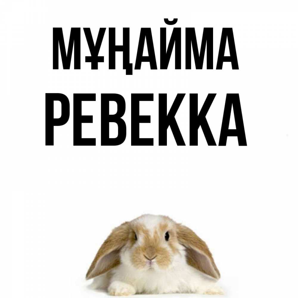Күн сайын ашық хат с именем, Ревекка Мұңайма коричнево белый заяц с большими ушками Онлайн тегін жүктеп алу тілектері бар керемет карта 