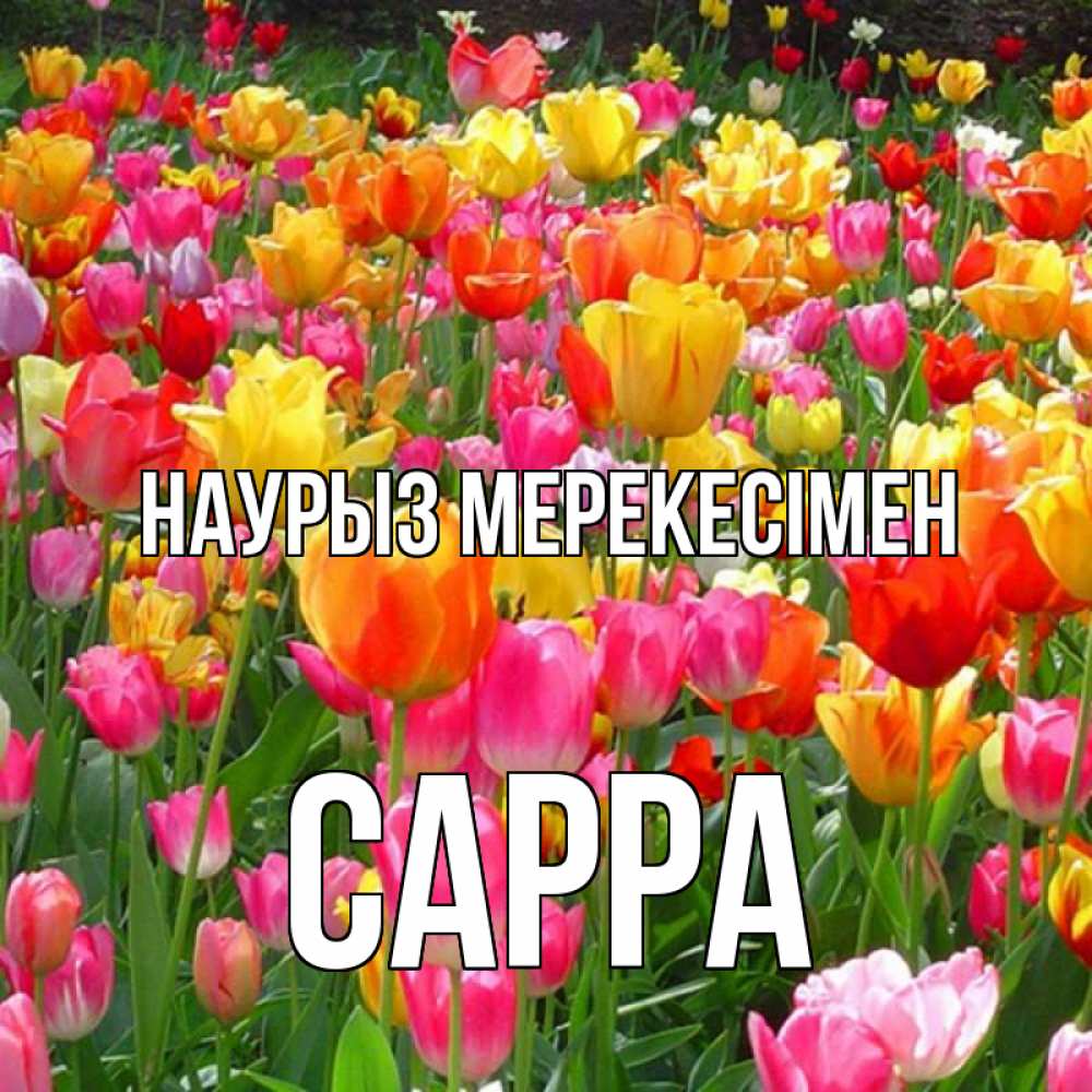 Күн сайын ашық хат с именем, Сарра Наурыз мерекесімен праздник весны наурыз 4 Онлайн тегін жүктеп алу тілектері бар керемет карта 