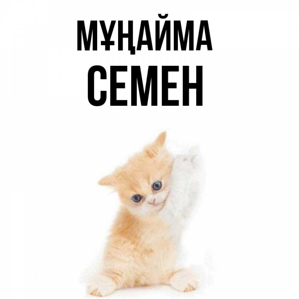 Күн сайын ашық хат с именем, Семен Мұңайма просящий кот Онлайн тегін жүктеп алу тілектері бар керемет карта 