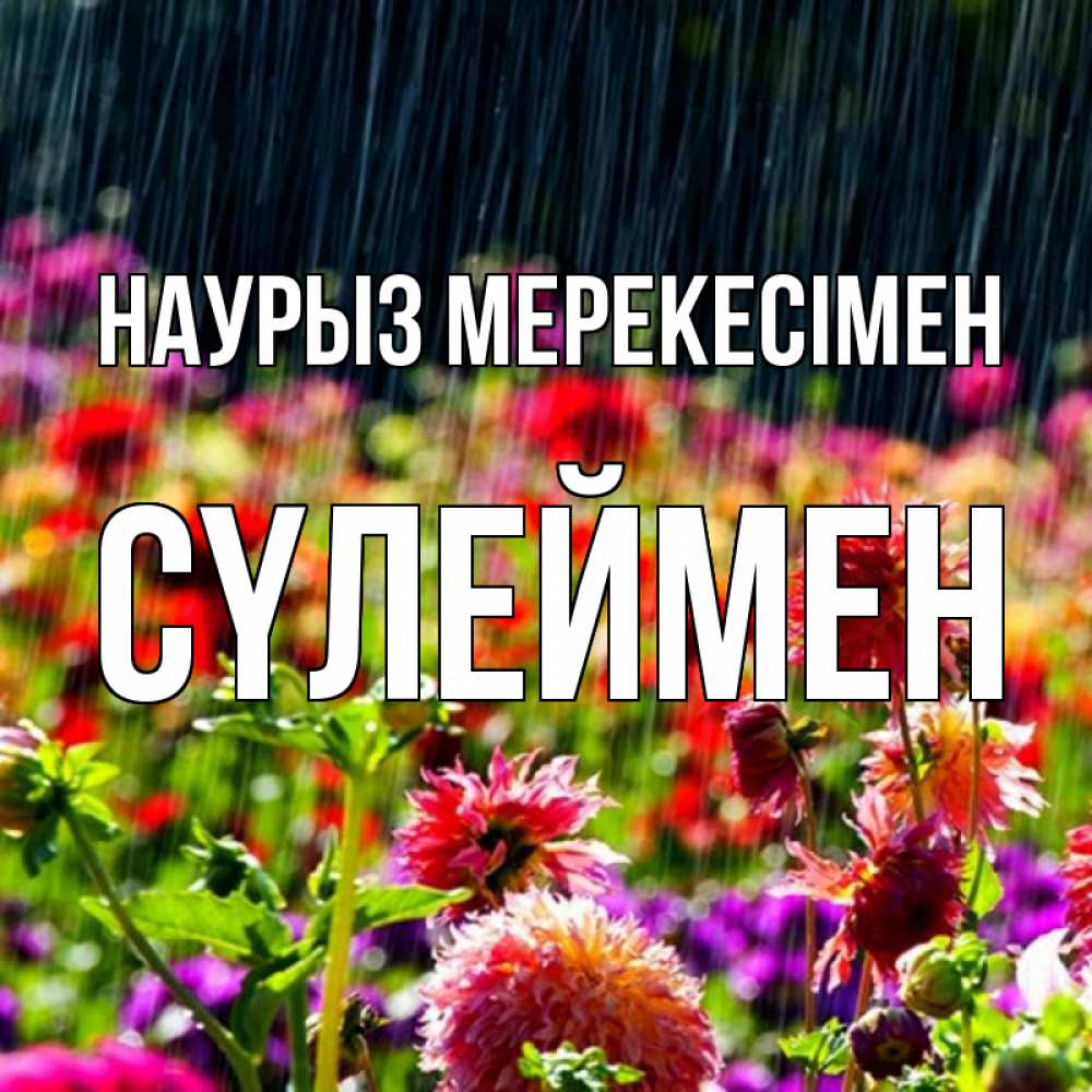 Күн сайын ашық хат с именем, СҮЛЕЙМЕН Наурыз мерекесімен цветы под дождиком к международному женскому дню Онлайн тегін жүктеп алу тілектері бар керемет карта 