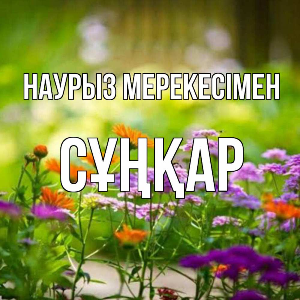 Күн сайын ашық хат с именем, СҰҢҚАР Наурыз мерекесімен цветы Онлайн тегін жүктеп алу тілектері бар керемет карта 