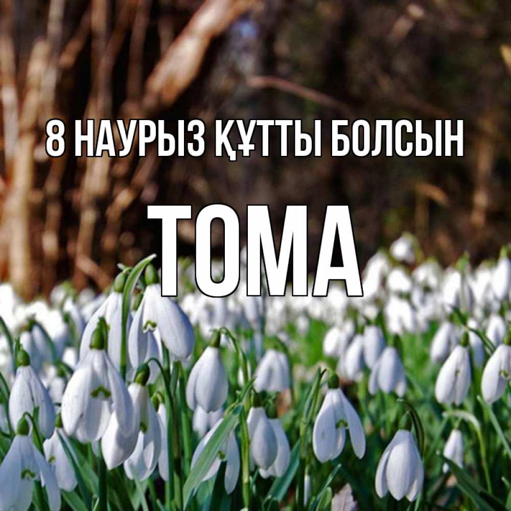 Күн сайын ашық хат с именем, Тома 8 наурыз құтты болсын с подснежниками 1 Онлайн тегін жүктеп алу тілектері бар керемет карта 