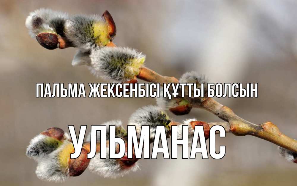 Күн сайын ашық хат с именем, Ульманас Пальма жексенбісі құтты болсын Верба Онлайн тегін жүктеп алу тілектері бар керемет карта 