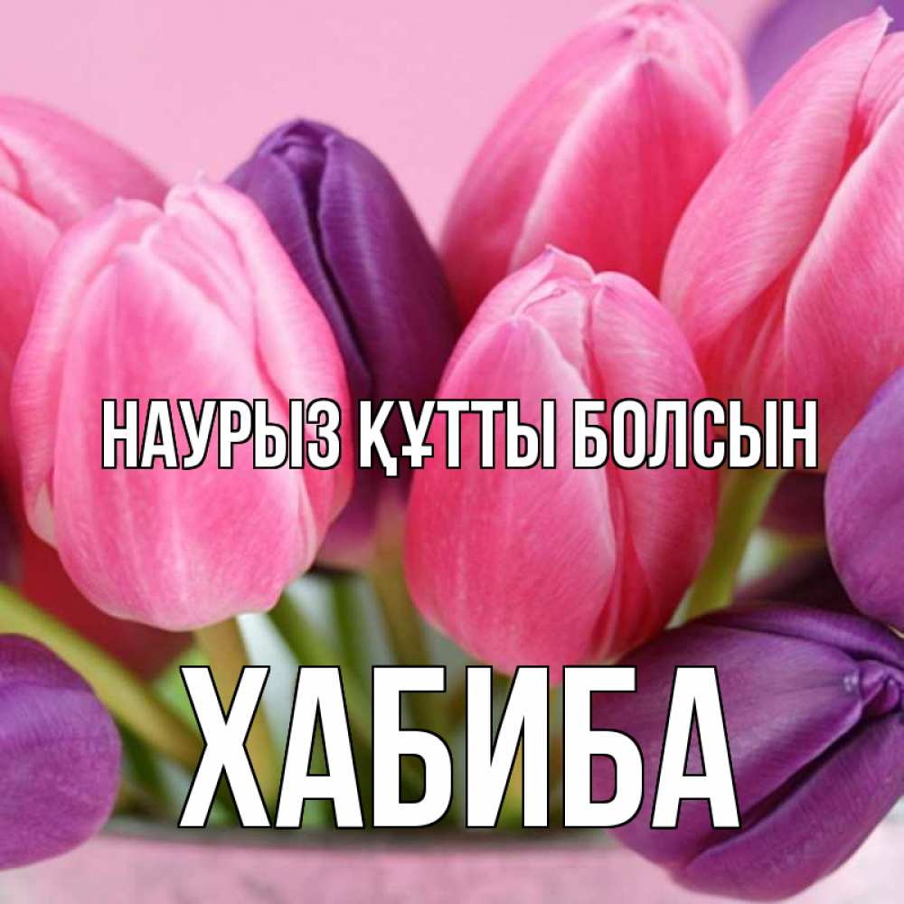 Күн сайын ашық хат с именем, ХАБИБА Наурыз құтты болсын маме 1 Онлайн тегін жүктеп алу тілектері бар керемет карта 