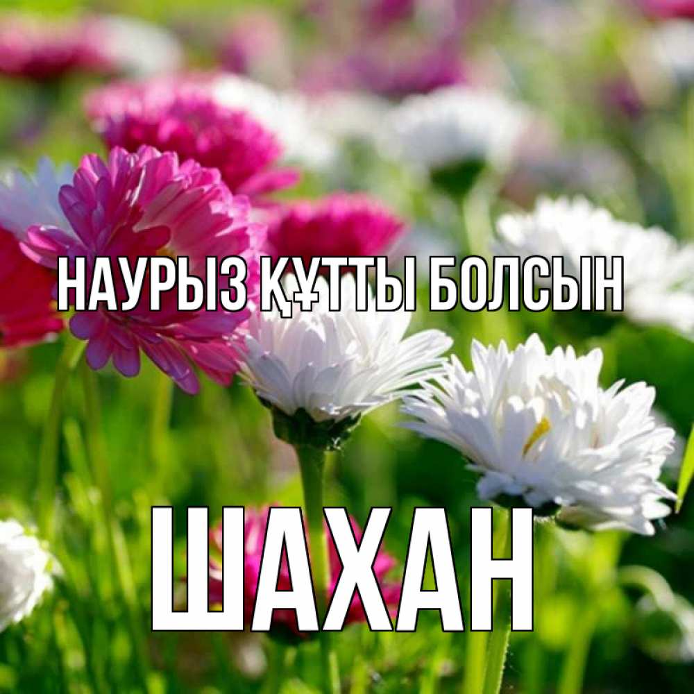 Күн сайын ашық хат с именем, ШАХАН Наурыз құтты болсын наурыз Онлайн тегін жүктеп алу тілектері бар керемет карта 