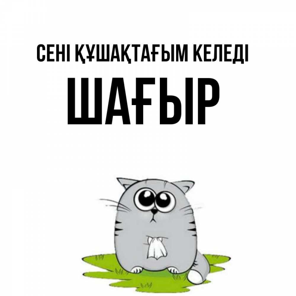 Күн сайын ашық хат с именем, ШАҒЫР сені құшақтағым келеді котик теребит платочек сидя на травке Онлайн тегін жүктеп алу тілектері бар керемет карта 