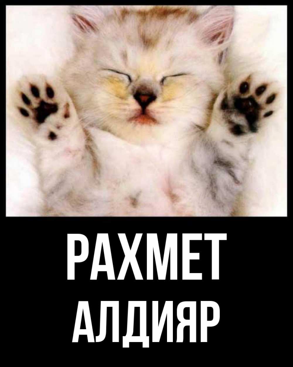Күн сайын ашық хат с именем, Алдияр рахмет маленький котенок Онлайн тегін жүктеп алу тілектері бар керемет карта 