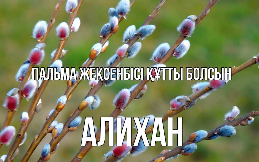 Күн сайын ашық хат с именем, Алихан Пальма жексенбісі құтты болсын верба Онлайн тегін жүктеп алу тілектері бар керемет карта 