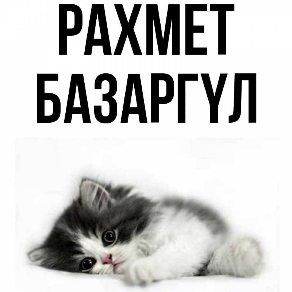 Күн сайын ашық хат с именем, БАЗАРГҮЛ рахмет черный и белый кот Онлайн тегін жүктеп алу тілектері бар керемет карта 