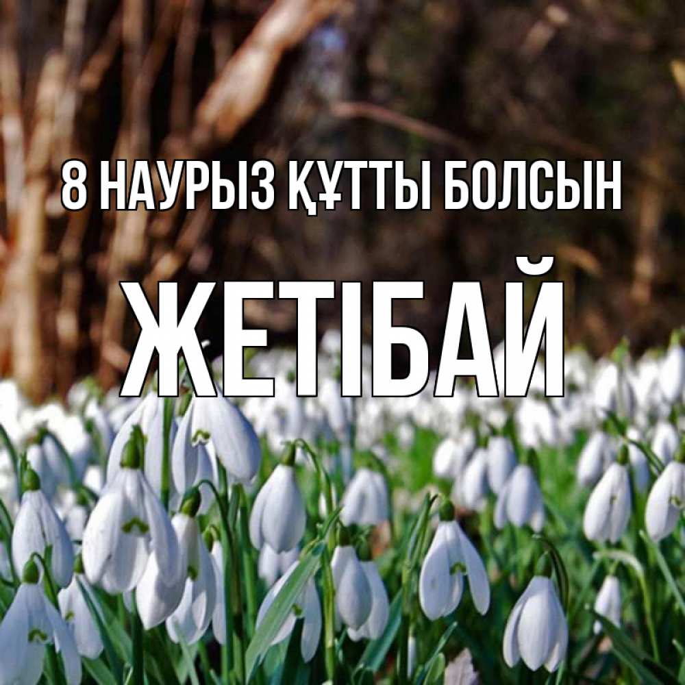 Күн сайын ашық хат с именем, Жетібай 8 наурыз құтты болсын с подснежниками 1 Онлайн тегін жүктеп алу тілектері бар керемет карта 