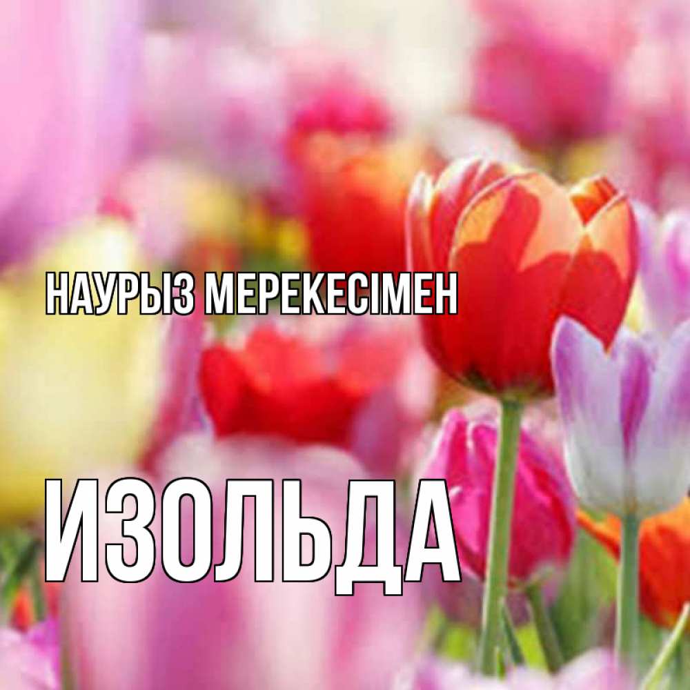 Күн сайын ашық хат с именем, Изольда Наурыз мерекесімен праздник весны наурыз 67 Онлайн тегін жүктеп алу тілектері бар керемет карта 