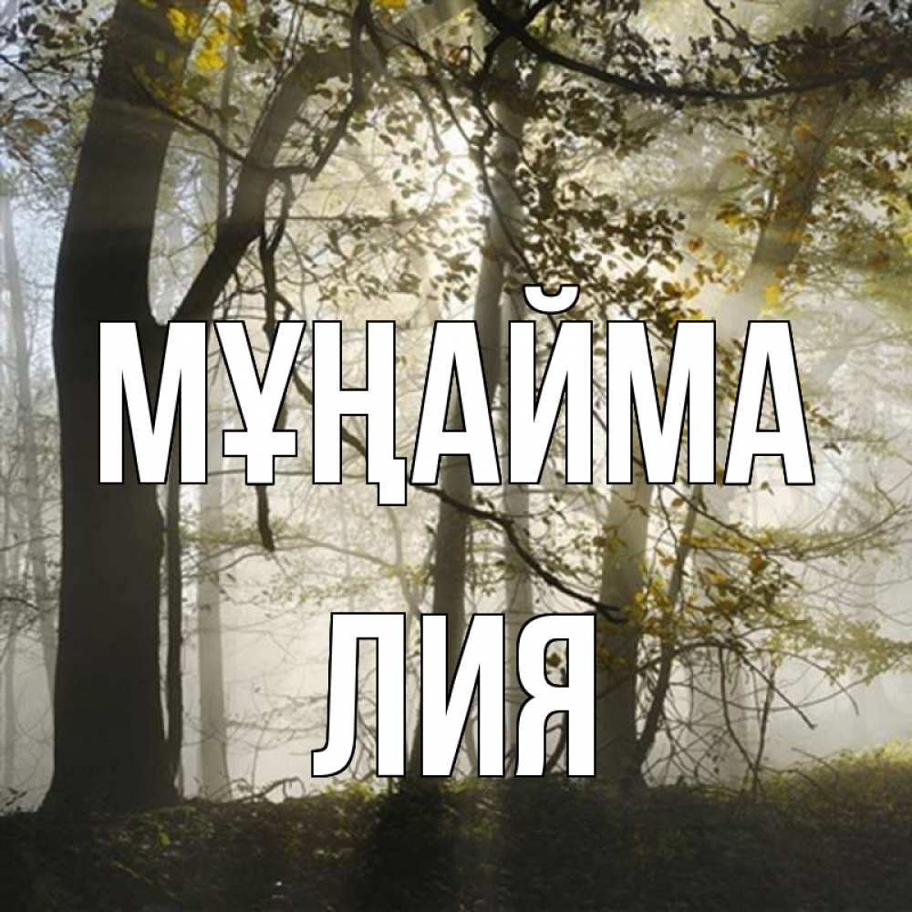 Күн сайын ашық хат с именем, Лия Мұңайма лес и свет Онлайн тегін жүктеп алу тілектері бар керемет карта 