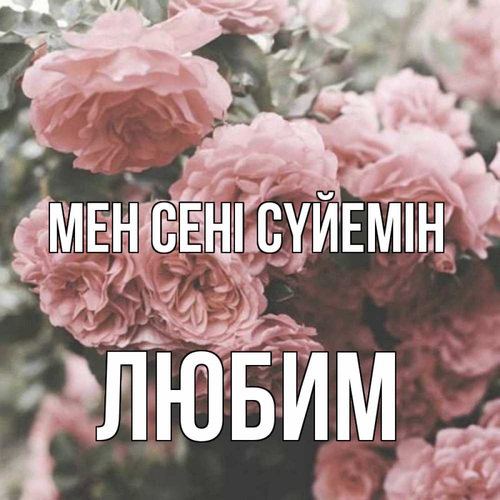 Күн сайын ашық хат с именем, Любим Мен сені сүйемін розы 3 Онлайн тегін жүктеп алу тілектері бар керемет карта 