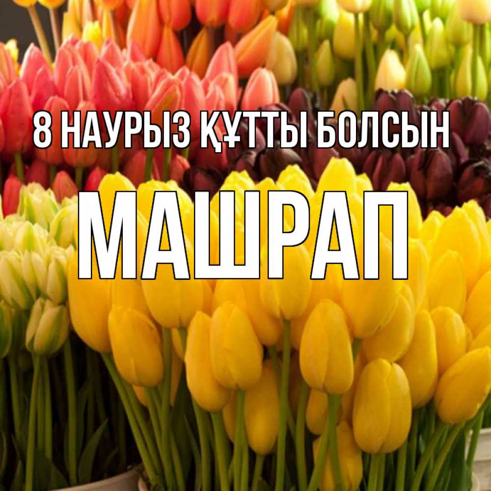 Күн сайын ашық хат с именем, МАШРАП 8 наурыз құтты болсын цветы Онлайн тегін жүктеп алу тілектері бар керемет карта 