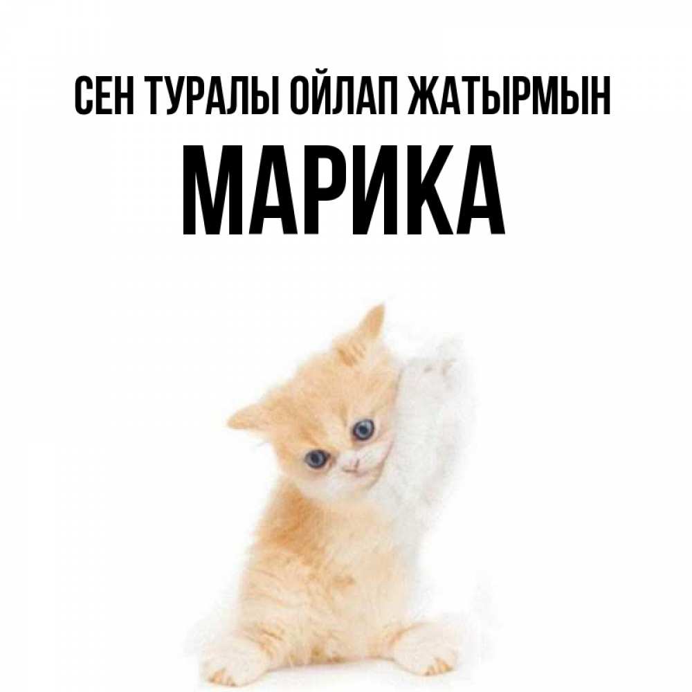 Күн сайын ашық хат с именем, Марика Сен туралы ойлап жатырмын зверушки и милота Онлайн тегін жүктеп алу тілектері бар керемет карта 