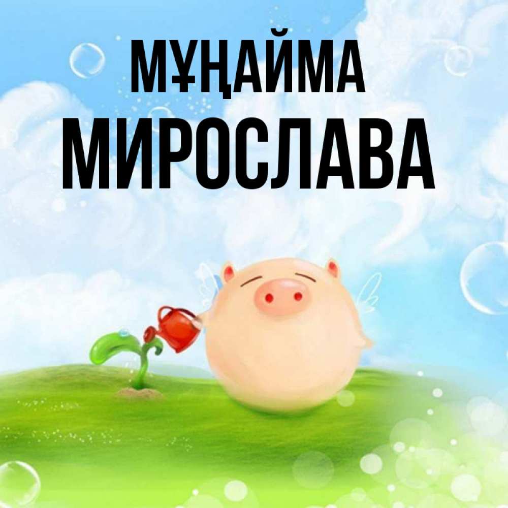 Күн сайын ашық хат с именем, Мирослава Мұңайма поливает цветок порося Онлайн тегін жүктеп алу тілектері бар керемет карта 