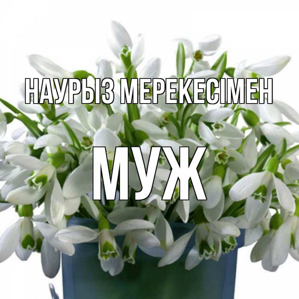 Күн сайын ашық хат с именем, Муж Наурыз мерекесімен цветы к наурызу новый год в Казахстане Онлайн тегін жүктеп алу тілектері бар керемет карта 