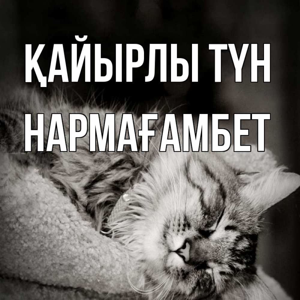 Күн сайын ашық хат с именем, НАРМАҒАМБЕТ Қайырлы түн котярик пушистый Онлайн тегін жүктеп алу тілектері бар керемет карта 