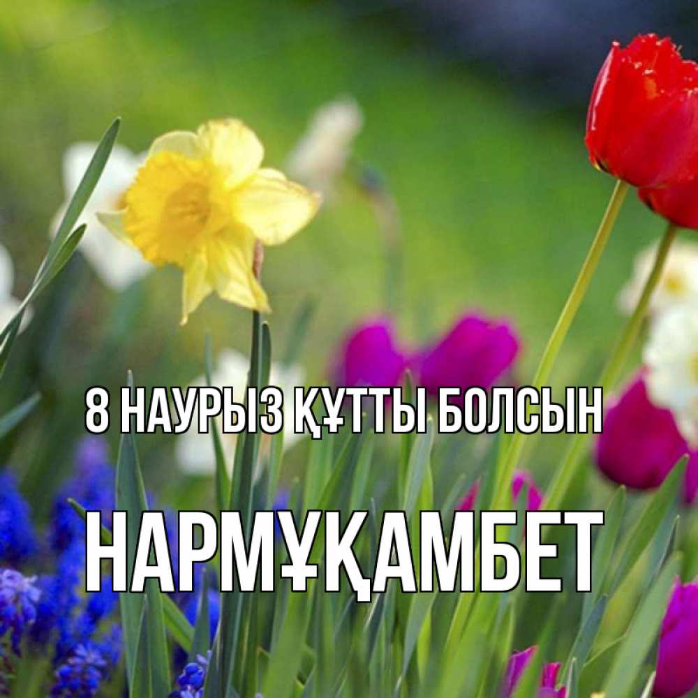 Күн сайын ашық хат с именем, НАРМҰҚАМБЕТ 8 наурыз құтты болсын международный женский день 3 Онлайн тегін жүктеп алу тілектері бар керемет карта 