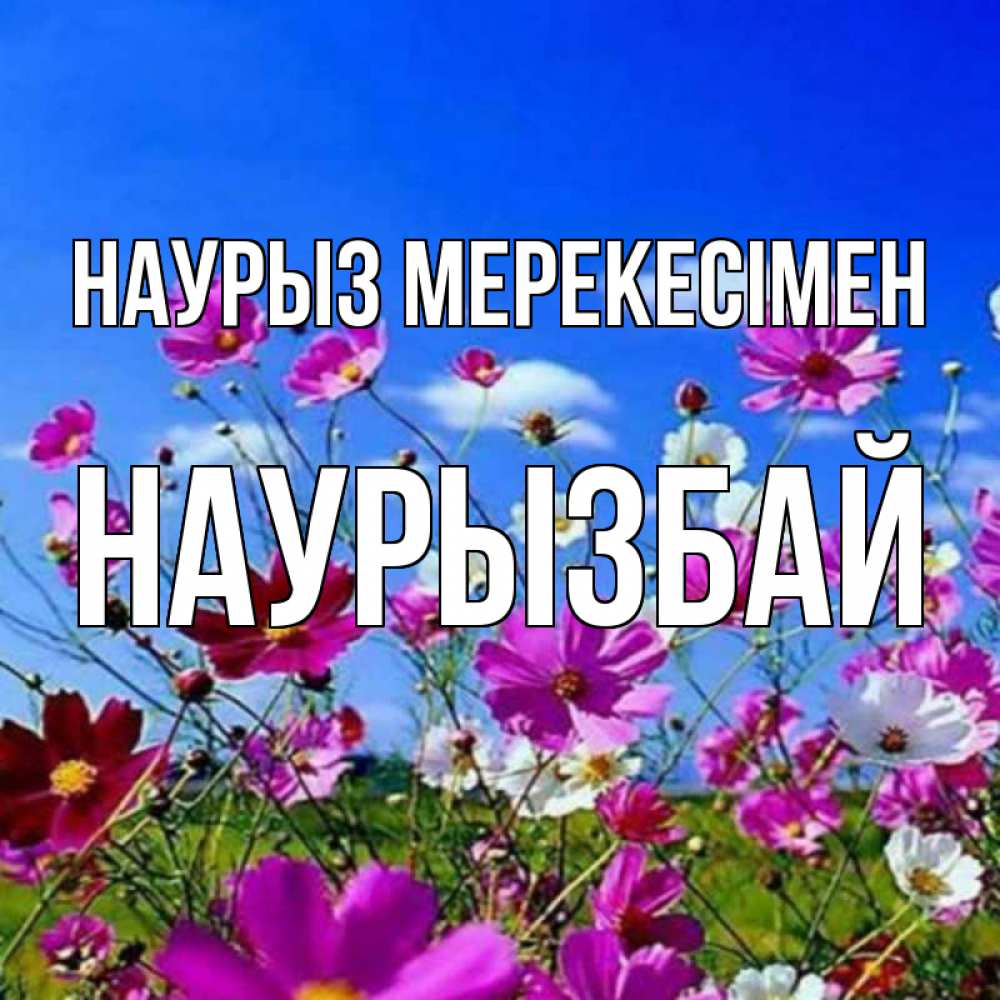 Күн сайын ашық хат с именем, Наурызбай Наурыз мерекесімен цветы Онлайн тегін жүктеп алу тілектері бар керемет карта 